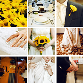 Wedding collage