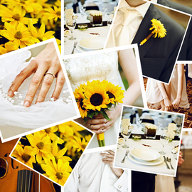 Wedding collage